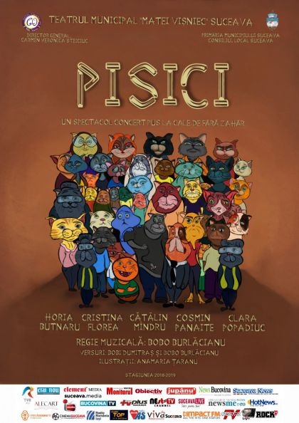 ”Pisici”, cele mai multe vizualizări - Radio Top Suceava