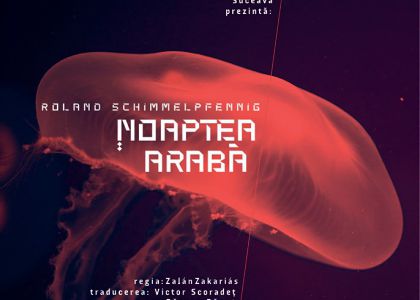 Noaptea arabă - o nouă premieră TMMVS