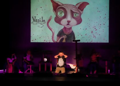TMMVS în turneu la Festivalul Internațional de Teatru și Arte Performative 2022