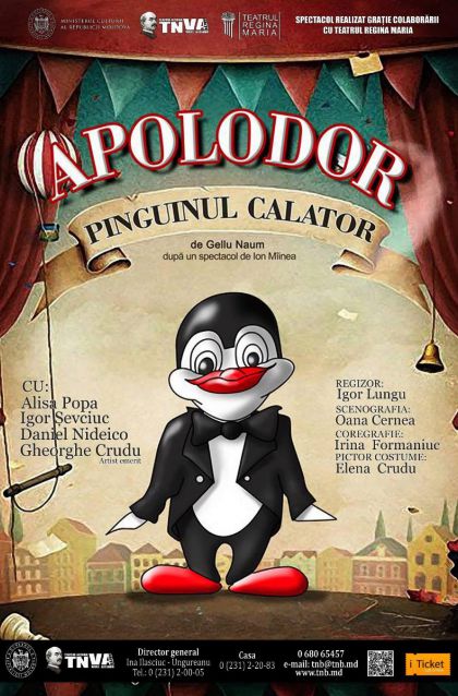 Apolodor, pinguinul călător
