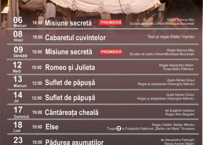 Programul lunii mai 2026 la TMMVS