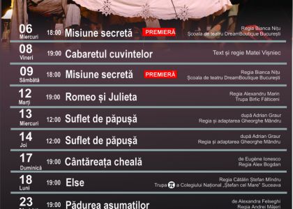 Programul lunii mai 2026 la TMMVS