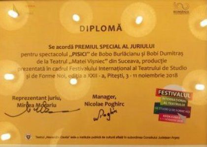 Premii pentru două producții ale Teatrului Municipal „Matei Vișniec” Suceava