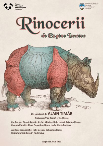 Rinocerii