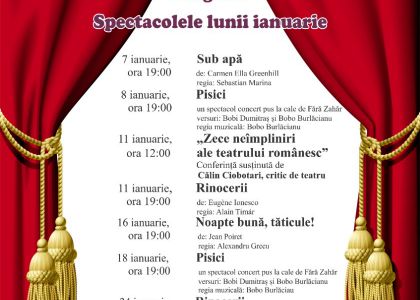 Programul spectacolelor lunii ianuarie 2019 la Teatrul Municipal „Matei Vișniec” Suceava