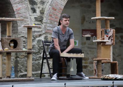 PiSiCiLe au cucerit Cetatea de Scaun a Sucevei