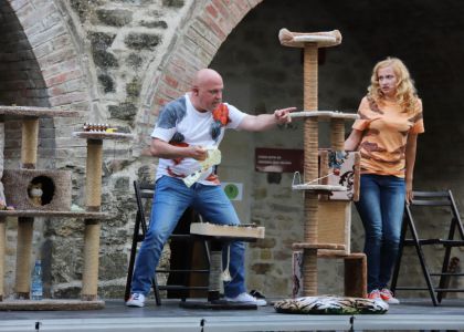 PiSiCiLe au cucerit Cetatea de Scaun a Sucevei