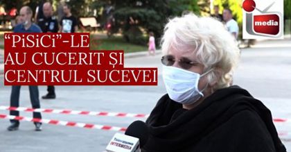 “PiSiCi”-le au cucerit și centrul Sucevei