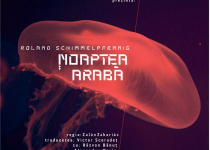 TMMVS anunță o nouă premieră - Noaptea arabă de Roland Schimmelpfennig