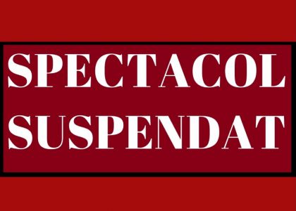 Spectacolul "Nelu GâscăNelu", al Teatrului Vasilache Botoșani - SE SUSPENDĂ!