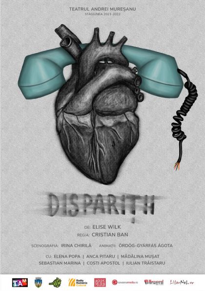 DISPARIȚII