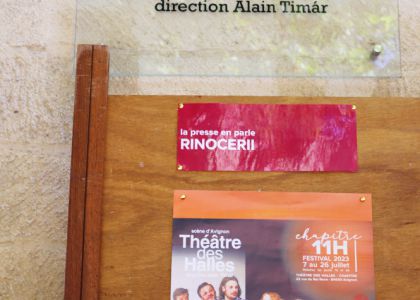 Teatrul Municipal „Matei Vișniec” Suceava a ajuns la Avignon