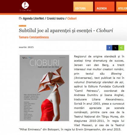 Subtilul joc al aparenței și esenței - Cioburi, de Tamara Constantinescu