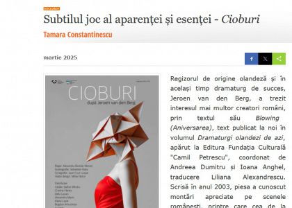 Subtilul joc al aparenței și esenței - Cioburi, de Tamara Constantinescu