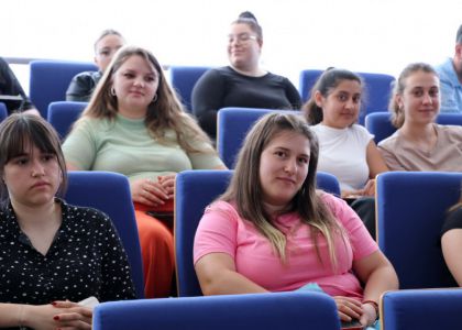 Diplomație și leadership cultural