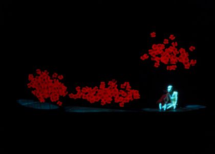 Spectacolul „Dincolo de maci” ajunge la Suceava - 8 octombrie, ora 19:00, la Teatrul Municipal „Matei Vișniec” Suceava