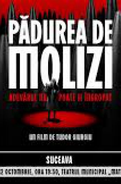 PĂDUREA DE MOLIZI