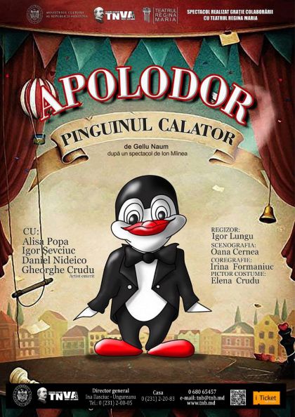 Apolodor, pinguinul călător