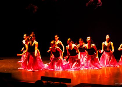 „PIM – 80”: Un regal al artelor la Suceava. O retrospectivă-spectacol între desen, muzică clasică și teatrul de ieri și de azi