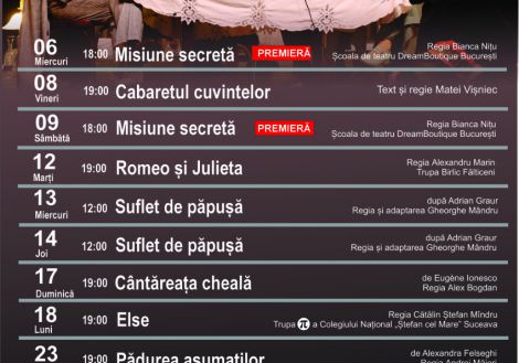 Programul lunii mai 2026 la TMMVS