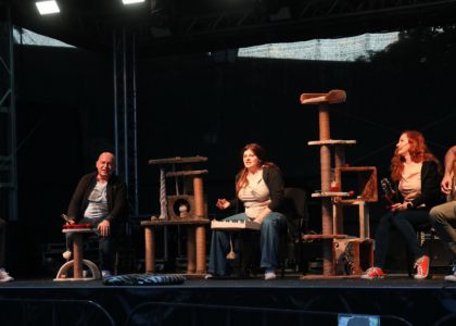 „PiSiCi”-le Teatrului din Suceava au învins ploaia: Public entuziasmat și ropote de aplauze la EduFortress, în parcarea Iulius Mall