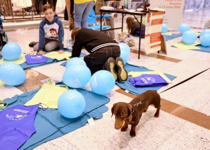 Participarea Teatrului sucevean la EduFortress Childhood Festival (1 Iunie 2026)
